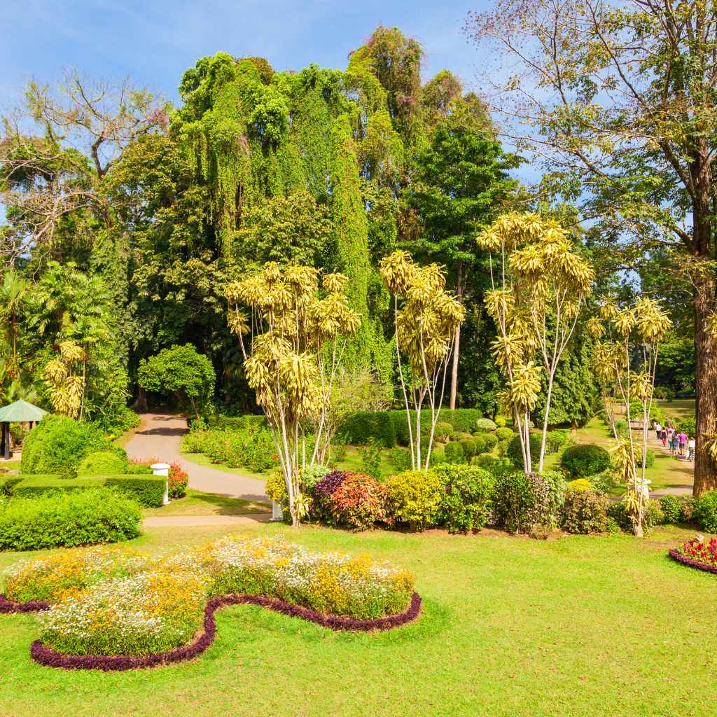 jeans holiday resort,kandy (3)