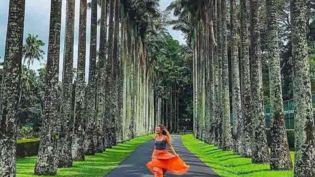 Peradeniya Botanical Garden